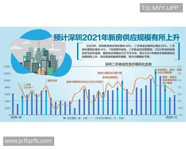 深圳排球队实力分析与表现评估的全面研究与探讨
